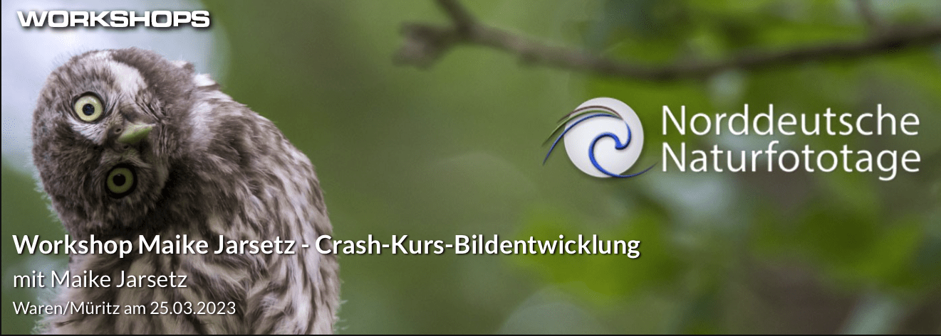 Norddeutsche Naturfototage: Bildentwicklung – Crashkurs