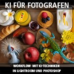 Entwurf KI Cover 1zu1 150