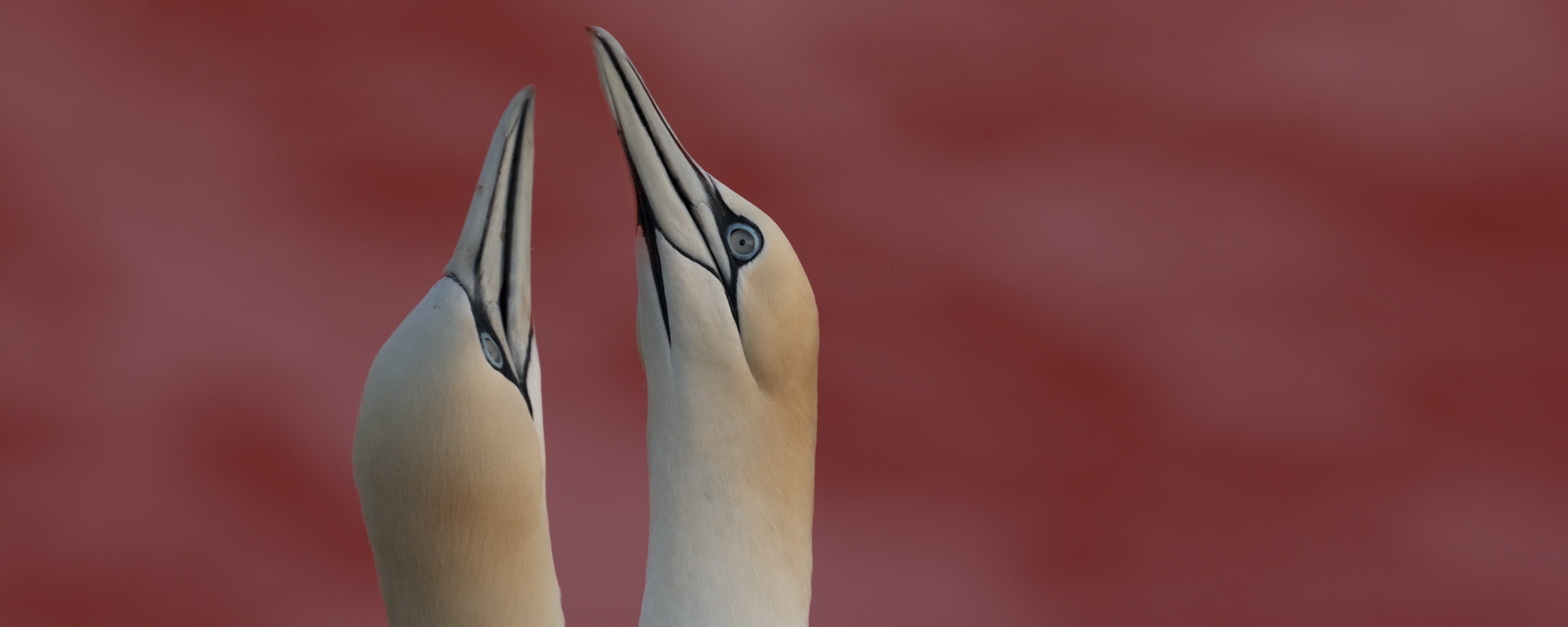 Lightroom-Special: Entwicklung mit Masken
